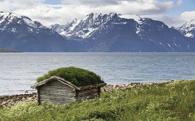 Vi undersöker brandskydd i gröna tak
