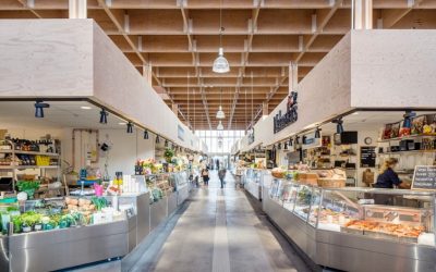 Träbyggnader i fokus