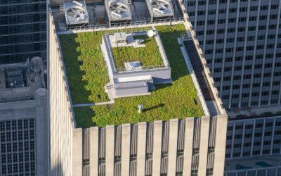 Kom och lär dig mer om gröna tak