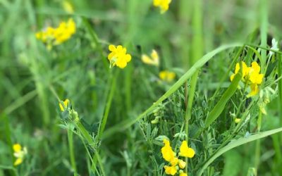 Välkomna sommarpraktikanter!