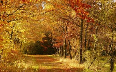 Classes hörna: Är du rädd att göra fel – se då till att bli avslöjad!