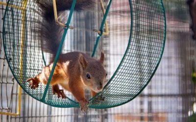 Classes Hörna: Är det viktigt på riktigt eller har vårsolen bara bråttom?
