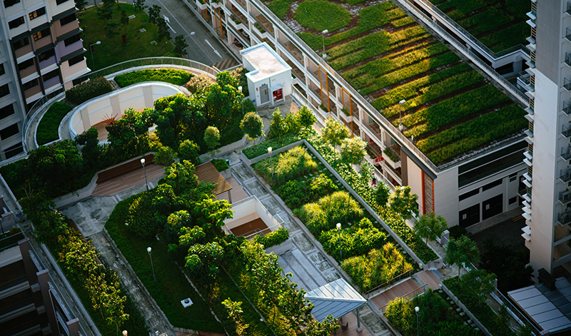Solpaneler och gröna tak