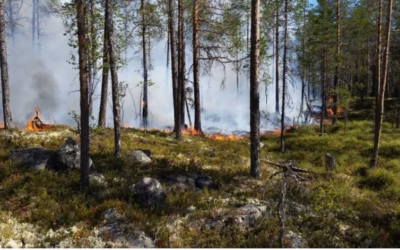 Hur kan vi bygga för att bättre stå emot framtidens skogs- och terrängbränder?